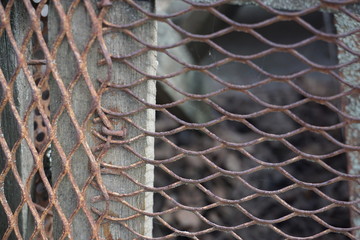 metal mesh fence