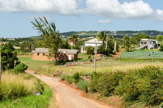 Landscape View From Top Of A Slope