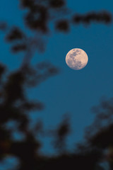 full moon over blue sky