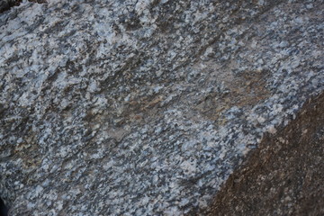 Fototapeta premium stone wall texture