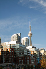 Downtown Toronto City Skyline View Condos and Buildings