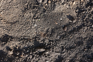 texture of the ground