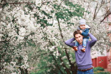 Naklejka na ściany i meble Happy father and son stand in the garden against the background of flowering trees