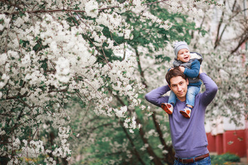 A father and a little boy are having fun near the cherry blossom trees.