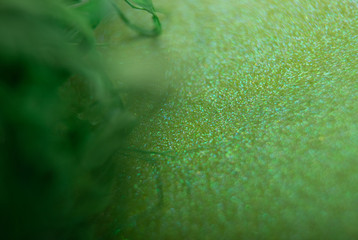 Abstract background. green decorative background