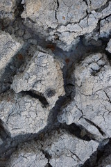dry cracked earth