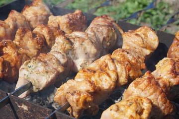 meat on the grill. Shick kebab on the grill