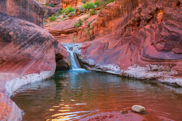 Falls Along Harrisburg Creek in the Red Cliffs Deset Reserve