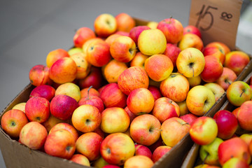 Naklejka na ściany i meble Fresh organic rows of apples crates at the farmers market.