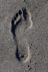 Big footprint on sandy beach