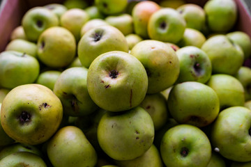 Ecological Apples In A Wooden Crates. Closeup of many pink raw vibrant colorful red green color apples in crate stall on display at farmers market