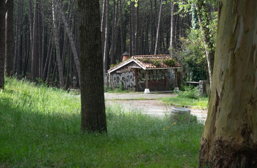 abandoned house in a forest in liencres