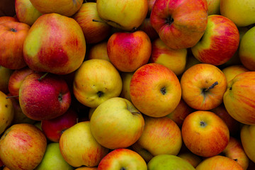 Ecological Apples In A Wooden Crates. Closeup of many pink raw vibrant colorful red green color apples in crate stall on display at farmers market