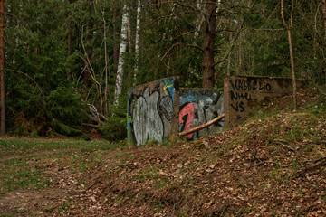 Forest graffiti 