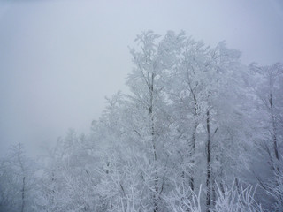 吹雪が吹くスキー場のゲレンデのイメージ