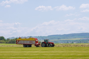 Obraz premium A red tractor rakes dry grass and places hay for loading and hauling.