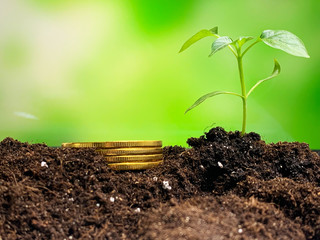 Concept of creating a new idea and financial growth