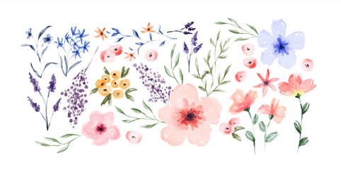 Watercolor spring flower set isolated