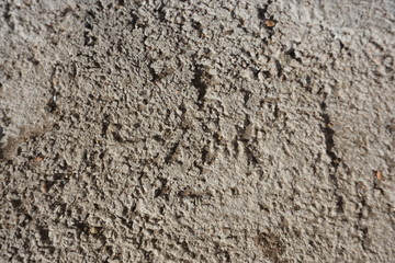 stone wall texture