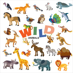 Wild animals vector set