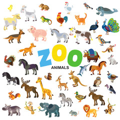 Zoo animals vector set