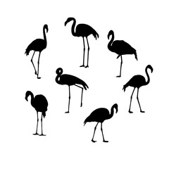 Fototapeta premium Set with black tropical Flamingo birds on a white background. For Wallpaper, textiles, wrapping paper, web pages, and other decor. Vector illustration.