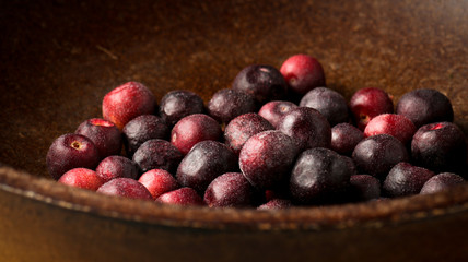 Grewia asiatica (Falsa or Phalsa) fruit in wooden pot