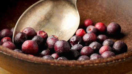 Grewia asiatica (Falsa or Phalsa) fruit in wooden pot