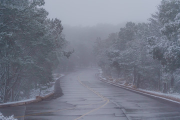 Fototapeta premium Foggy road
