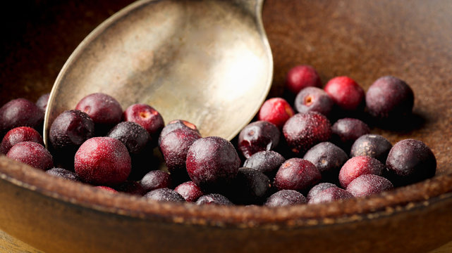 Grewia asiatica (Falsa or Phalsa) fruit in wooden pot