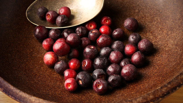 Grewia asiatica (Falsa or Phalsa) fruit in wooden pot
