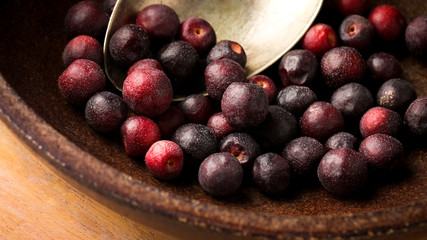 Grewia asiatica (Falsa or Phalsa) fruit in wooden pot