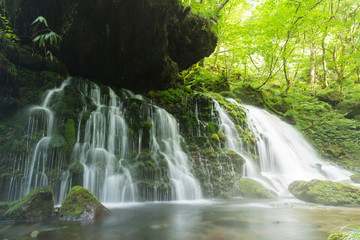 Fototapeta premium 元滝伏流水