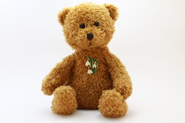 sitting brown toy teddy bear with a white flowers badge on his chest on a white background in a lightbox