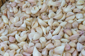 Top view of pile of fresh garlic. Garlic clove
