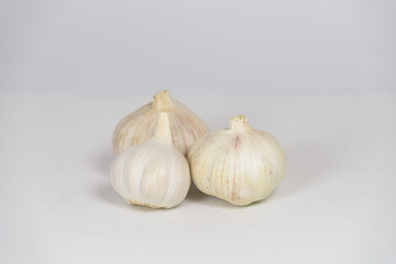 Fresh garlic head on white canvas background with copy space