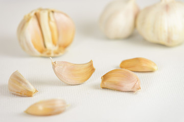 Fresh garlic head and garlic cloves on white canvas background with copy space. select focus