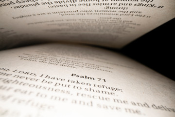 View of text in Book of Psalm nside the Bible