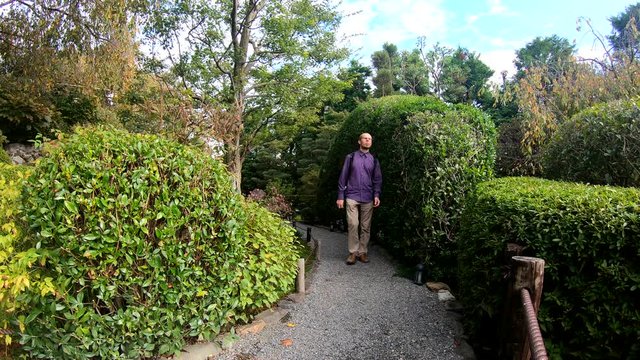 Tourist is walking in Japanese style garden