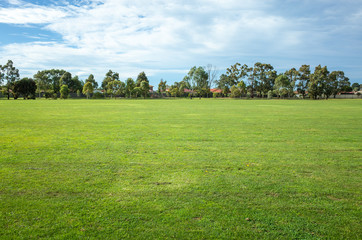 Background texture of a large public local park with green and healthy grass and with some trees and residential houses in the distance. Melbourne, VIC Australia - obrazy, fototapety, plakaty