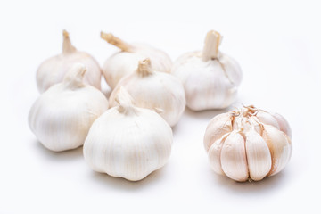 close up garlic ingredient for cooking