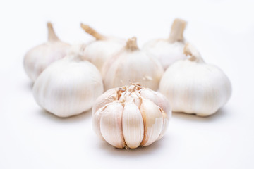 close up garlic ingredient for cooking