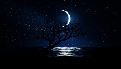 Obraz na płótnie Canvas moon over the sea