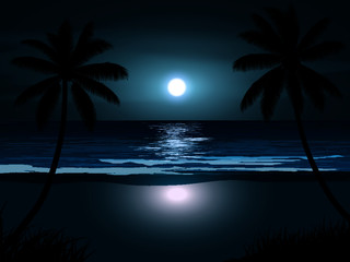 Fototapeta na wymiar palm tree at night