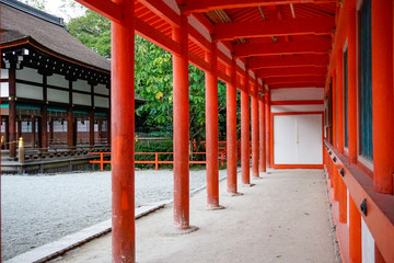 京都　下鴨神社