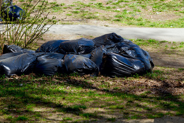 Ekaterinburg/ Russia - may 06 2020: a lot of black garbage bags full of old leaves and trash on the lawn near the street on sunny spring day