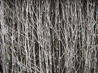 The bamboo fence is made from a group of small dry bamboo branches and tied together. The fence line is fabricated from something that exists in nature. natural eco friendly fence concept
