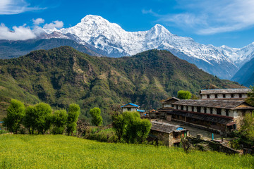 Beautiful view of Annapurna range includes Mt.Annapurna South and Mt.Himchuli view from Ghandruk...