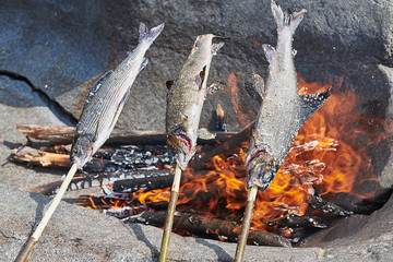 Grayling on the ridge. Cooking grayling. Cooking grayling at the stake.