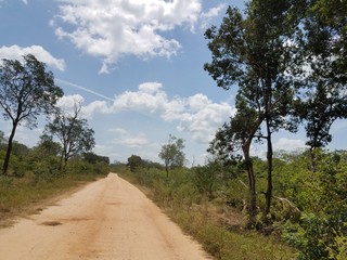 country road in the countryside